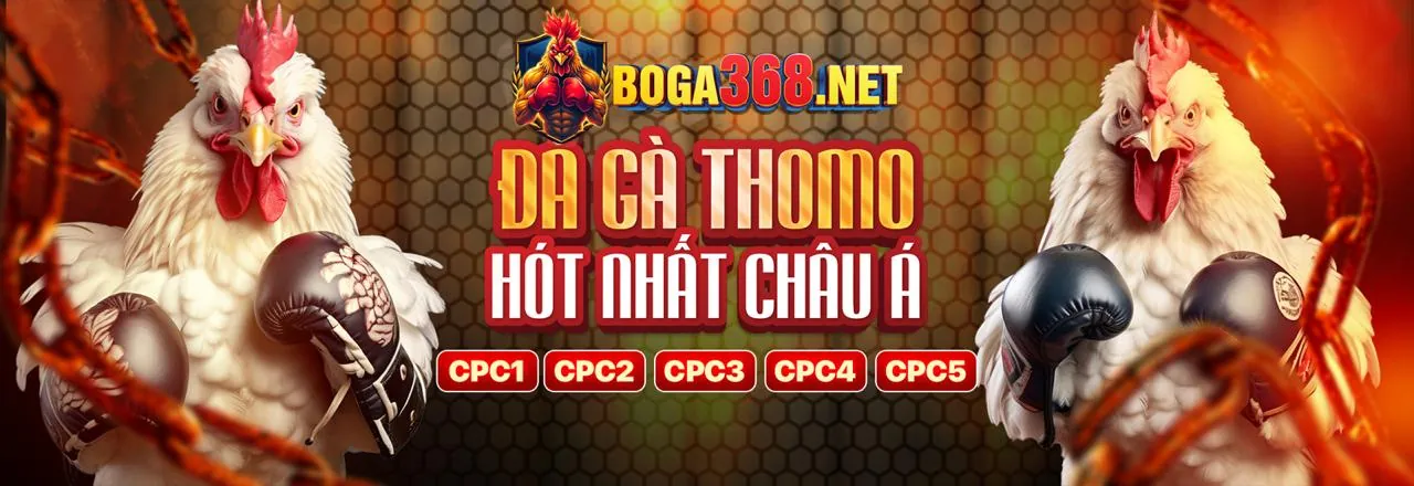 Biểu tượng Telegram